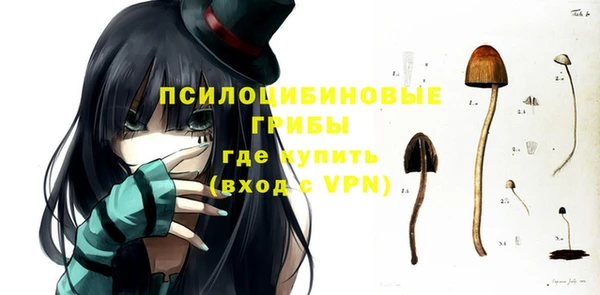 сатива Каменногорск