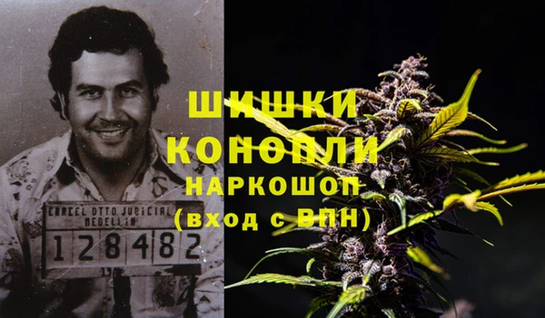 дживик Абаза