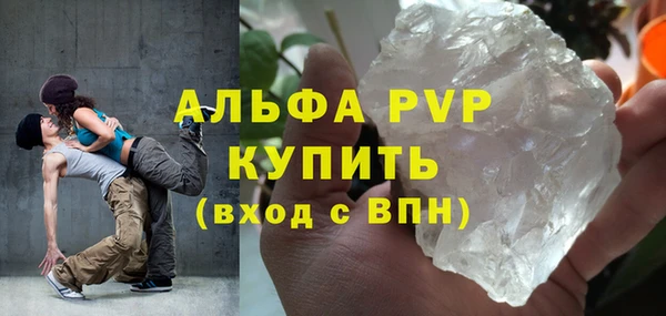 крисы Алексин